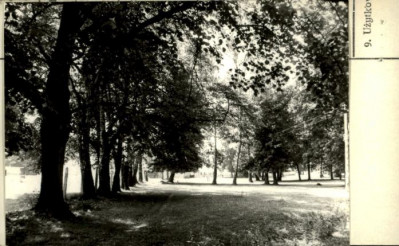 park dworski, skan 3