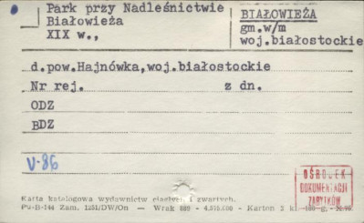 park przy nadleśnictwie, skan 1