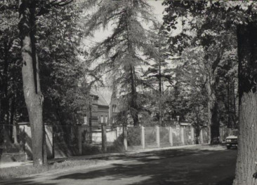 park szpitalny, skan 5