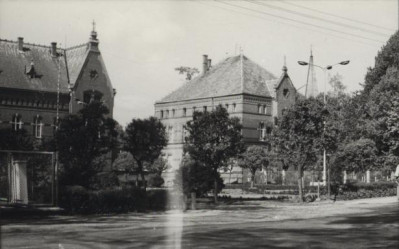 park szpitalny, skan 6