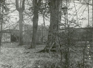 park pałacowy z pozost. założ. obronneg., skan 3