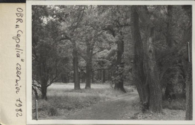 park krajobrazowy, skan 2