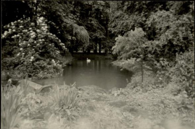 park w zespole zamkowym, skan 2