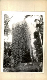 wieża tzw. Piastowska, skan 2