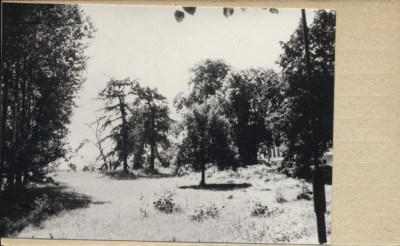 park przy d. hospicjum, skan 2