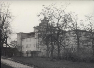 szkoła podstawowa 3, skan 8