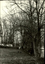 park, skan 3
