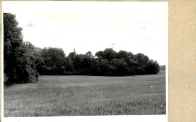park, skan 2