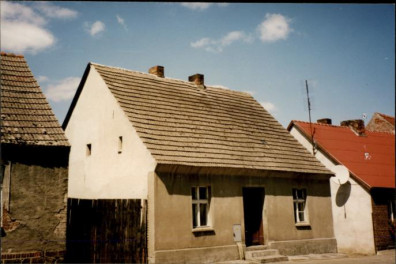 dom, skan 3