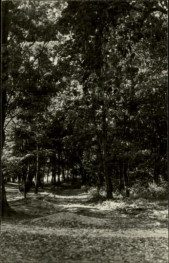 park krajobrazowy, skan 3