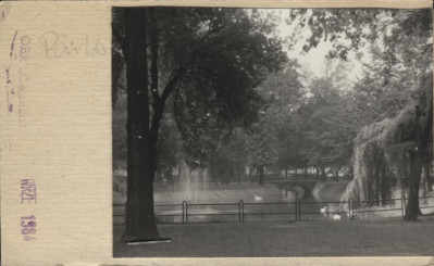 park, skan 2