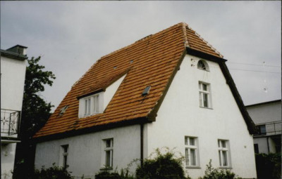 dom, skan 3