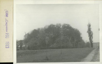 park krajobrazowy, skan 2