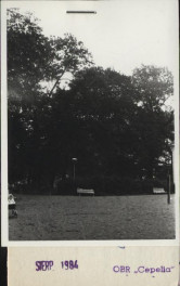 park krajobrazowy, skan 3