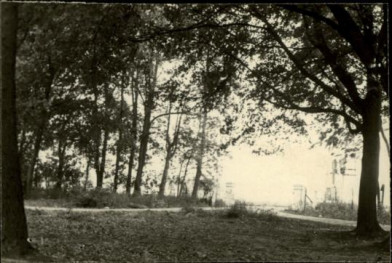 park krajobrazowy, skan 3