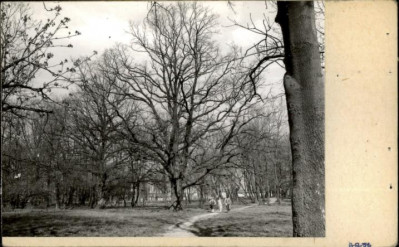 park krajobrazowy, skan 2