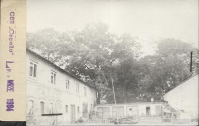 park dworski, skan 2