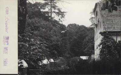 park, skan 2