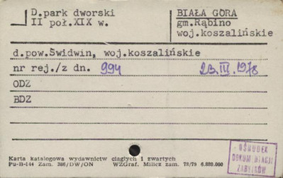 park dworski, skan 1