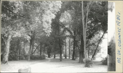park dworski, skan 2