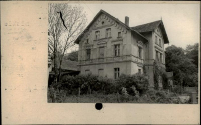 willa, skan 2