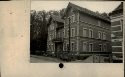 willa, skan 2