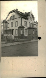 willa, skan 2