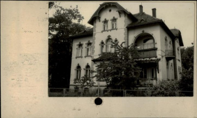 willa, skan 2
