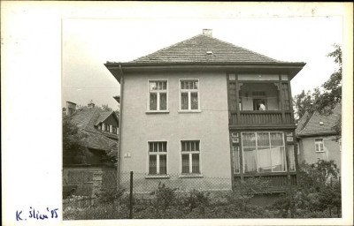 dom, skan 2