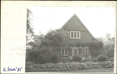 dom, skan 2