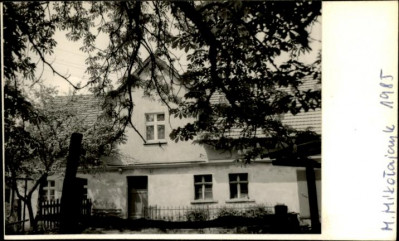 dom, skan 2