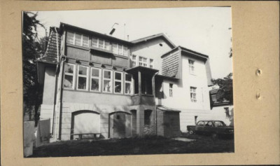 willa, skan 3