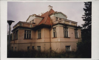 willa, skan 2