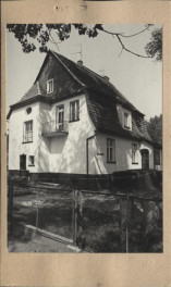 willa, skan 4