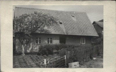 dom, skan 2