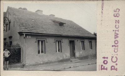 dom, skan 2