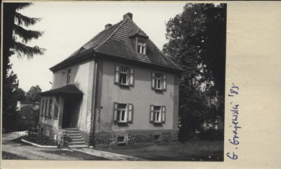 willa, skan 2