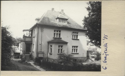 willa, skan 2