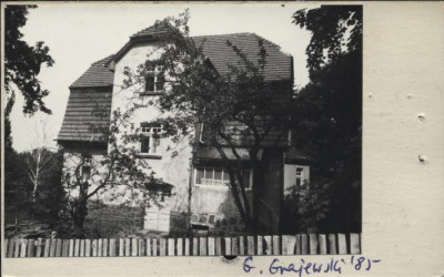 willa, skan 2