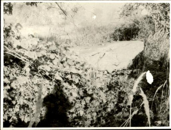 schron bierny nr 464, skan 3