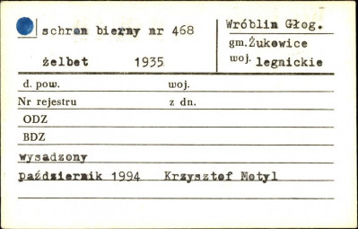 schron bierny nr 468, skan 1