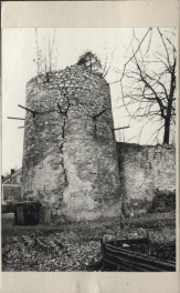 Wapiennik II, skan 6