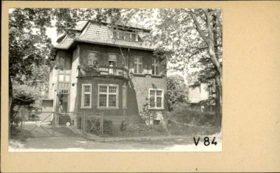 willa, skan 2