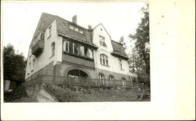 willa Hubertus, skan 2