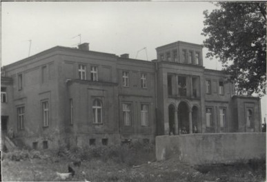 pałac, skan 3