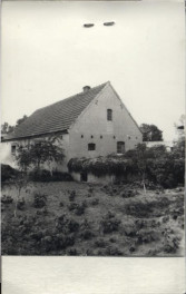 chlew, skan 3