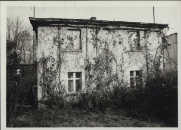 dom, skan 3
