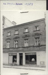 dom, skan 2