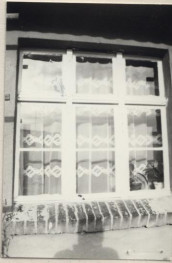 dom, skan 5