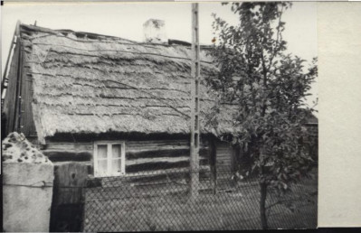 dom, skan 3